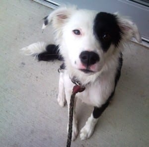 I want to go home. Will you help me?