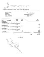 thumbnail of Ohlman Invoice 013734-0000-DPS