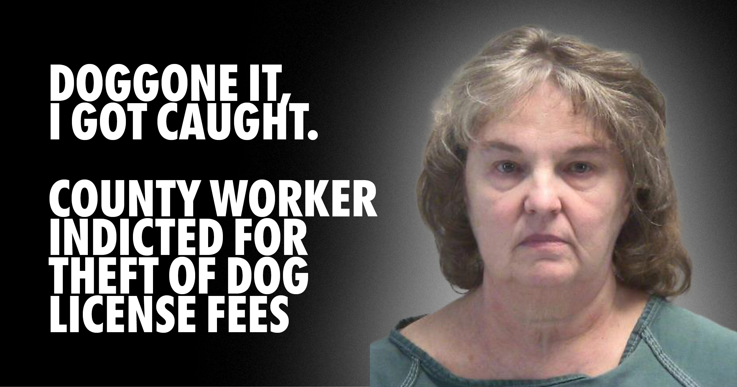 Jodi Hockett charged with theft of dog license fees